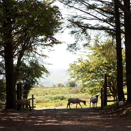 Wheal Tor Hotel & Glamping Liskeard Kültér fotó
