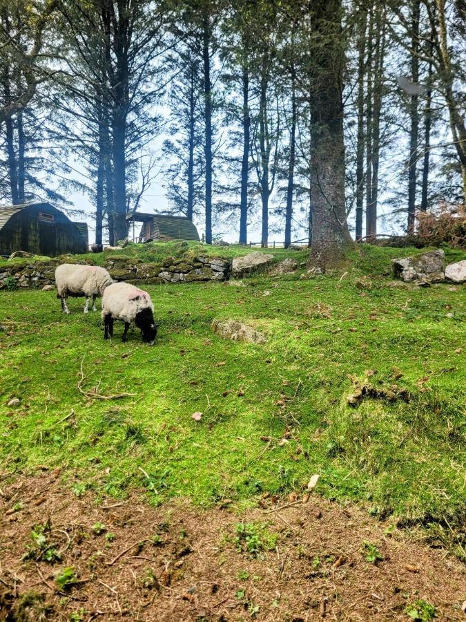 Wheal Tor Hotel & Glamping Liskeard Kültér fotó